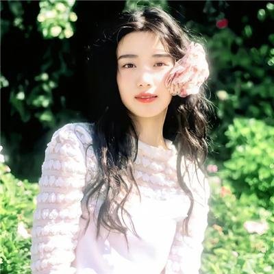 私人手段